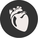 Modjo-Modern-Export-Abattoir-heart-Icon
